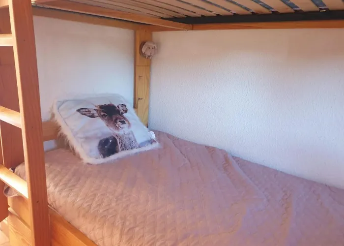 Charmant Studio cabine vue sur pistes